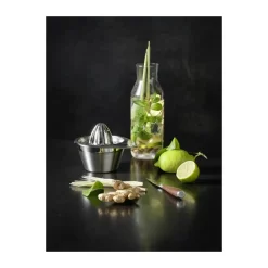 RÖSLE Citruspresser* Hvidløgspressere Og Citruspressere