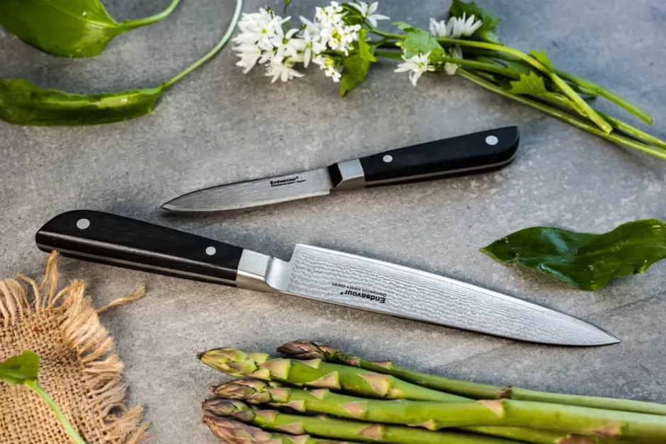 Endeavour Discovery PRO Knivsæt - 2 dele* Knivsæt Og Knivopbevaring