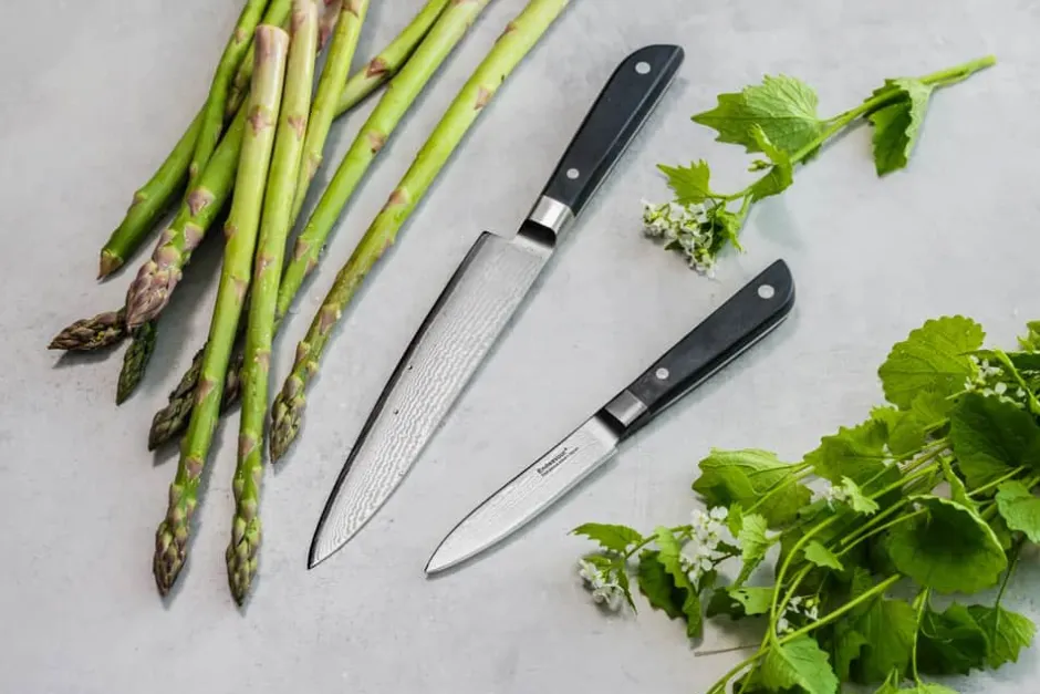 Endeavour Discovery PRO Knivsæt - 2 dele* Knivsæt Og Knivopbevaring