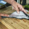 Zwilling Filetkniv* Udbener- Og Filetknive