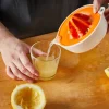 Fiskars Functional Form Citruspresser* Hvidløgspressere Og Citruspressere
