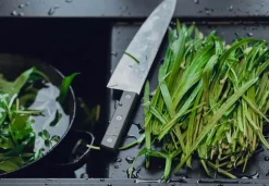Endeavour Resolution R12 Big Chopper Kniv* Køkkenknive